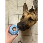 Image 3 of customer photos