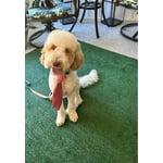 Image 2 of customer photos