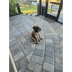 Image 7 of customer photos