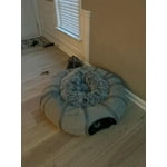 Image 7 of customer photos