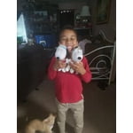 Image 1 of customer photos