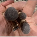 Image 4 of customer photos