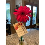 Image 1 of customer photos