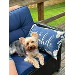 Image 2 of customer photos