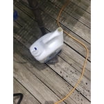 Image 2 of customer photos