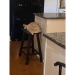 Image 6 of customer photos