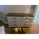 Image 6 of customer photos