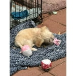 Image 2 of customer photos