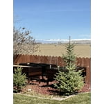 Image 4 of customer photos