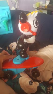 combo panda on skateboard