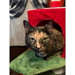 Image 5 of customer photos