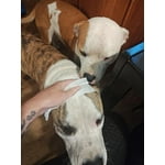 Image 1 of customer photos