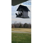 Image 4 of customer photos