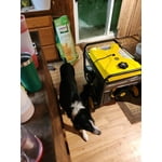 Image 5 of customer photos