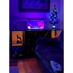 Image 5 of customer photos