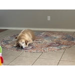 Image 4 of customer photos