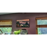 Image 5 of customer photos