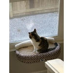 Image 7 of customer photos