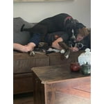 Image 7 of customer photos