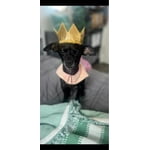 Image 3 of customer photos