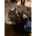 Image 6 of customer photos