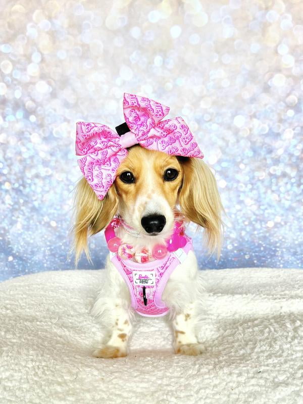 Sassy Meow Cat Step-In Harness Extra Small - Hello Kitty Pink