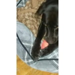 Image 7 of customer photos