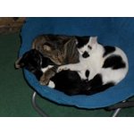 Image 5 of customer photos