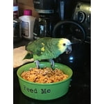 Image 4 of customer photos