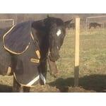 Image 5 of customer photos