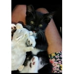 Image 6 of customer photos