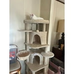 Image 3 of customer photos