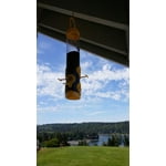 Image 3 of customer photos