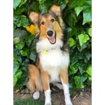 Image 4 of customer photos