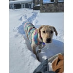 Image 1 of customer photos