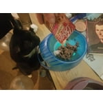 Image 6 of customer photos