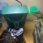 Image 4 of customer photos