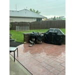Image 4 of customer photos