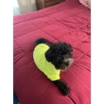 Image 4 of customer photos