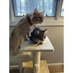 Image 4 of customer photos