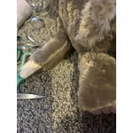 Image 7 of customer photos