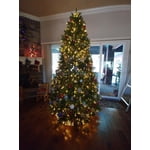 Image 1 of customer photos