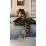 Image 5 of customer photos