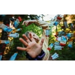 Image 6 of customer photos