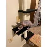 Image 4 of customer photos