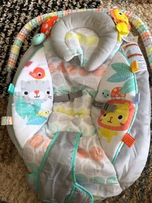 bright starts whimsical wild cradling bouncer seat with soothing vibration & melodies