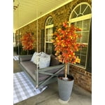 Image 3 of customer photos