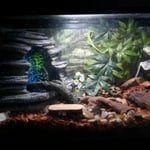 Image 2 of customer photos