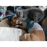 Image 7 of customer photos