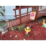 Image 1 of customer photos